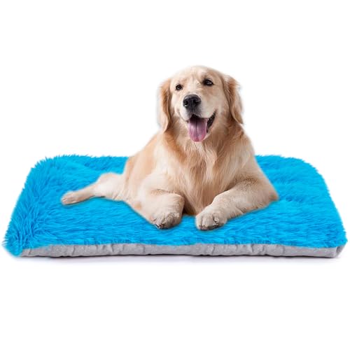 Maschinenwaschbares Hundebett, Deluxe-Plüsch-Hundebox-Unterlage und Katzenbett, rutschfeste Unterseite, flauschige Haustierbetten für große, mittelgroße und kleine Hunderassen (Azurblau, 61 cm L x Maschinenwaschbares Hundebett, Deluxe-Plüsch-Hundebox-Unterlage und Katzenbett, rutschfeste Unterseite, flauschige Haustierbetten für große, mittelgroße und kleine Hunderassen (Azurblau, 61 cm L x von WONDER MIRACLE