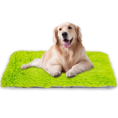 Maschinenwaschbares Hundebett, Deluxe-Plüsch-Hundebox-Unterlage und Katzenbett, rutschfeste Unterseite, flauschige Haustierbetten für große, mittelgroße und kleine Hunderassen (Grasgrün, 91,4 cm L x Maschinenwaschbares Hundebett, Deluxe-Plüsch-Hundebox-Unterlage und Katzenbett, rutschfeste Unterseite, flauschige Haustierbetten für große, mittelgroße und kleine Hunderassen (Grasgrün, 91,4 cm L x von WONDER MIRACLE