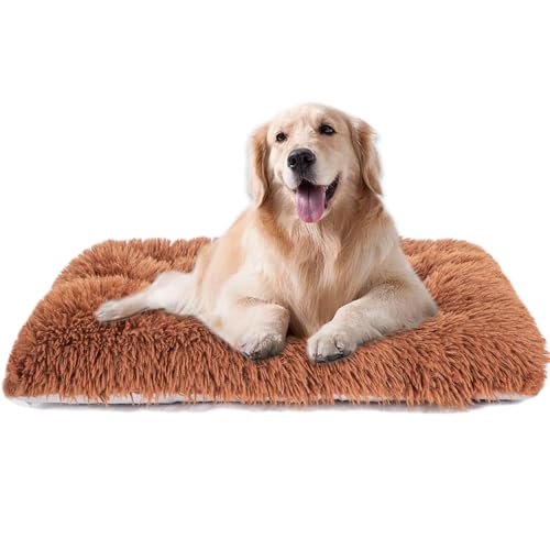 Maschinenwaschbares Hundebett, Deluxe-Plüsch-Hundekäfigunterlage und Katzenbett, rutschfeste Unterseite, flauschige Haustierbetten für große, mittelgroße und kleine Hunderassen (Braun, 61 x 45,7 x 7,6 Maschinenwaschbares Hundebett, Deluxe-Plüsch-Hundekäfigunterlage und Katzenbett, rutschfeste Unterseite, flauschige Haustierbetten für große, mittelgroße und kleine Hunderassen (Braun, 61 x 45,7 x 7,6 von WONDER MIRACLE