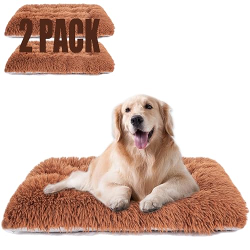 Maschinenwaschbares Hundebett, Deluxe-Plüsch-Hundekäfigunterlage und Katzenbett, rutschfeste Unterseite, flauschige Haustierbetten für große, mittelgroße und kleine Hunderassen (Braun, 61 x 45,7 x 7,6 Maschinenwaschbares Hundebett, Deluxe-Plüsch-Hundekäfigunterlage und Katzenbett, rutschfeste Unterseite, flauschige Haustierbetten für große, mittelgroße und kleine Hunderassen (Braun, 61 x 45,7 x 7,6 von WONDER MIRACLE