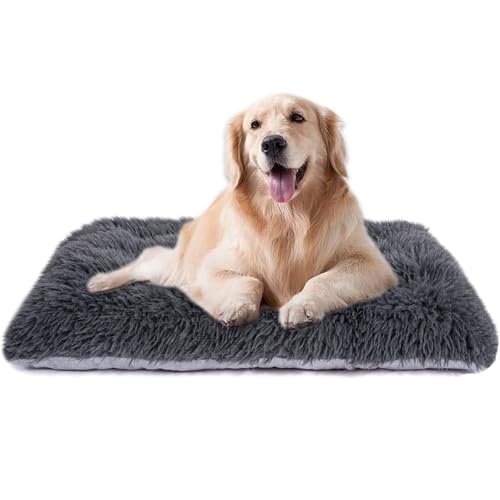 Maschinenwaschbares Hundebett, Deluxe-Plüsch-Hundekäfigunterlage und Katzenbett, rutschfeste Unterseite, flauschige Haustierbetten für große, mittelgroße und kleine Hunderassen (Dunkelgrau, 91,4 cm L Maschinenwaschbares Hundebett, Deluxe-Plüsch-Hundekäfigunterlage und Katzenbett, rutschfeste Unterseite, flauschige Haustierbetten für große, mittelgroße und kleine Hunderassen (Dunkelgrau, 91,4 cm L von WONDER MIRACLE