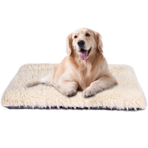 Maschinenwaschbares Hundebett, Deluxe-Plüsch-Hundekäfigunterlage und Katzenbett, rutschfeste Unterseite, flauschige Haustierbetten für große, mittelgroße und kleine Hunderassen (Elfenbein, 91,4 cm L x Maschinenwaschbares Hundebett, Deluxe-Plüsch-Hundekäfigunterlage und Katzenbett, rutschfeste Unterseite, flauschige Haustierbetten für große, mittelgroße und kleine Hunderassen (Elfenbein, 91,4 cm L x von WONDER MIRACLE