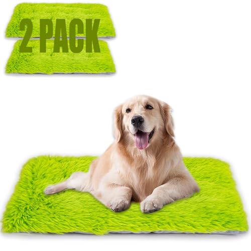 Maschinenwaschbares Hundebett, Deluxe-Plüsch-Hundekäfigunterlage und Katzenbett, rutschfeste Unterseite, flauschige Haustierbetten für große, mittelgroße und kleine Hunderassen (Grasgrün, 61 cm L x Maschinenwaschbares Hundebett, Deluxe-Plüsch-Hundekäfigunterlage und Katzenbett, rutschfeste Unterseite, flauschige Haustierbetten für große, mittelgroße und kleine Hunderassen (Grasgrün, 61 cm L x von WONDER MIRACLE
