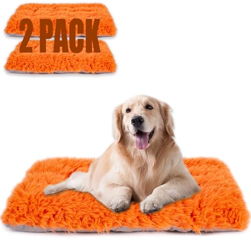 Maschinenwaschbares Hundebett, Deluxe-Plüsch-Hundekäfigunterlage und Katzenbett, rutschfeste Unterseite, flauschige Haustierbetten für große, mittelgroße und kleine Hunderassen (Orange, 61 x 45,7 x Maschinenwaschbares Hundebett, Deluxe-Plüsch-Hundekäfigunterlage und Katzenbett, rutschfeste Unterseite, flauschige Haustierbetten für große, mittelgroße und kleine Hunderassen (Orange, 61 x 45,7 x von WONDER MIRACLE
