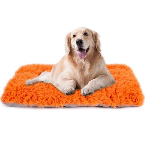 Maschinenwaschbares Hundebett, Deluxe-Plüsch-Hundekäfigunterlage und Katzenbett, rutschfeste Unterseite, flauschige Haustierbetten für große, mittelgroße und kleine Hunderassen (Orange, 91,4 cm L x 61 Maschinenwaschbares Hundebett, Deluxe-Plüsch-Hundekäfigunterlage und Katzenbett, rutschfeste Unterseite, flauschige Haustierbetten für große, mittelgroße und kleine Hunderassen (Orange, 91,4 cm L x 61 von WONDER MIRACLE