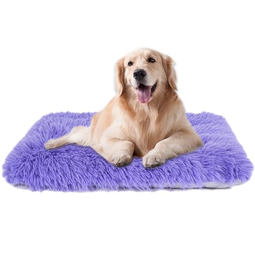 Maschinenwaschbares Hundebett, Deluxe-Plüsch-Hundekäfigunterlage und Katzenbett, rutschfeste Unterseite, flauschige Haustierbetten für große, mittelgroße und kleine Hunderassen (Violett, 91,4 cm L x Maschinenwaschbares Hundebett, Deluxe-Plüsch-Hundekäfigunterlage und Katzenbett, rutschfeste Unterseite, flauschige Haustierbetten für große, mittelgroße und kleine Hunderassen (Violett, 91,4 cm L x von WONDER MIRACLE