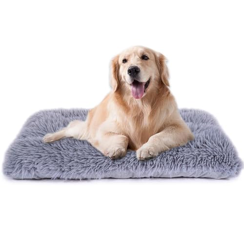 Maschinenwaschbares Hundebett, Deluxe-Plüsch-Hundekäfigunterlage und Katzenbett, rutschfeste Unterseite, flauschige Haustierbetten für große, mittelgroße und kleine Hunderassen (grau, 91,4 cm L x 61 Maschinenwaschbares Hundebett, Deluxe-Plüsch-Hundekäfigunterlage und Katzenbett, rutschfeste Unterseite, flauschige Haustierbetten für große, mittelgroße und kleine Hunderassen (grau, 91,4 cm L x 61 von WONDER MIRACLE