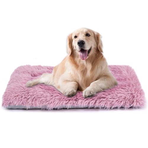 WONDER MIRACLE Maschinenwaschbares Hundebett, Deluxe-Plüsch-Hundekäfigunterlage und Katzenbett, rutschfeste Unterseite, flauschige Haustierbetten für große, mittelgroße und kleine Hunderassen (61 x WONDER MIRACLE Maschinenwaschbares Hundebett, Deluxe-Plüsch-Hundekäfigunterlage und Katzenbett, rutschfeste Unterseite, flauschige Haustierbetten für große, mittelgroße und kleine Hunderassen (61 x von WONDER MIRACLE