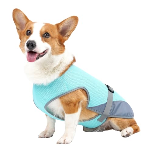 Sommer Coole Haustierweste - Atmungsfreie leichte Hundekühlung Jacke für Outdoor -Aktivitäten - Verstellbare Passform - Haustierkühlshirt - Blue S (M) von WONZHEC