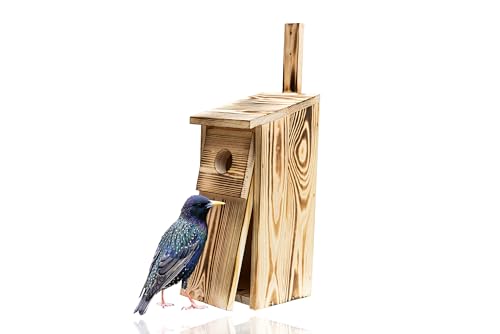 Nistkasten Für Vögel, Stare, Wiedehopfe, Wetterfest, Aus Massivem Kiefernholz, Zum Aufhängen Im Freien, 40x16x16 cm, Einflugloch 45 mm, Typ B, WOODYGIFT Nistkasten Für Vögel, Stare, Wiedehopfe, Wetterfest, Aus Massivem Kiefernholz, Zum Aufhängen Im Freien, 40x16x16 cm, Einflugloch 45 mm, Typ B, WOODYGIFT von WOODYGIFT