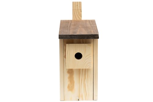 WOODYGIFT - Nistkasten für Vögel für draußen wetterfest – Typ A1 aus Massivholz für Meisen & Blaumeisen – Vogelnistkasten zum Aufhängen mit 28 mm Einflugloch (Braun) von WOODYGIFT