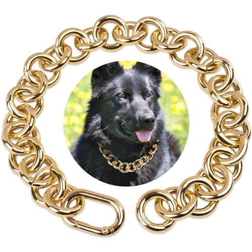 Woofuu Hundehalsband, 18 Karat vergoldet, robust, kaufest, für kleine, mittelgroße und große Hunde, 21 mm breit, Leichtmetallkette (25,4 cm), Halsband für Spaziergänge und Training von WOOFUU