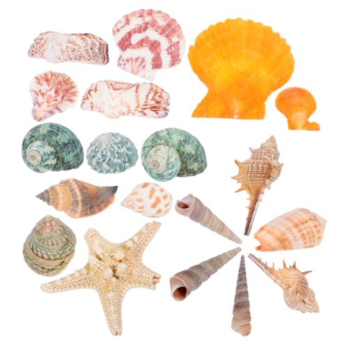 WOONEKY 21-teilige Aquarium-Dekoration aus natürlichen Muscheln Ornamente für Aquarien Muschel- und Conch-Material sicher für Fische -Aquarium-Landschaftsbau zu Hause WOONEKY 21-teilige Aquarium-Dekoration aus natürlichen Muscheln Ornamente für Aquarien Muschel- und Conch-Material sicher für Fische -Aquarium-Landschaftsbau zu Hause von WOONEKY