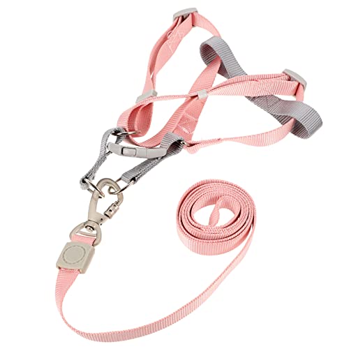 WOONEKY 1 Satz Hundegeschirr Set mit Leine Verstellbar Leichtes Design für Kleine Ausbruchsicher für Outdoor Aktivitäten Erhältlich Mehreren von WOONEKY
