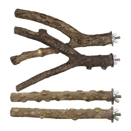 WOONEKY 1satz Holzstand Für Papageien Spiel Und Trainingsplatz Aus Naturholz Für Vögel Installieren Und Unterhaltsam Für Käfige Und Vogelspielplätze Kaffee von WOONEKY