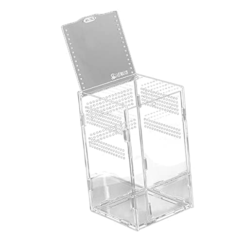 WOONEKY 1 Satz Transparente Futterbox Klare Züchterfälle Einsiedlerkrebsbecken Vogelspinnengehege Einsiedlerkrebs-Gecko-Becken Eidechsenbecken Schlange Terrarium Sprungspinnengehege Acryl WOONEKY 1 Satz Transparente Futterbox Klare Züchterfälle Einsiedlerkrebsbecken Vogelspinnengehege Einsiedlerkrebs-Gecko-Becken Eidechsenbecken Schlange Terrarium Sprungspinnengehege Acryl von WOONEKY
