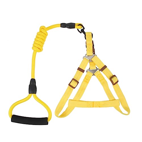 WOONEKY Set mit Geschirr und Leine für Haustiere Hundeweste Hundeleine Welpenleine Robustes Hundeseilgeschirr aus Nylon für das Gassigehen mit dem Hund WOONEKY Set mit Geschirr und Leine für Haustiere Hundeweste Hundeleine Welpenleine Robustes Hundeseilgeschirr aus Nylon für das Gassigehen mit dem Hund von WOONEKY