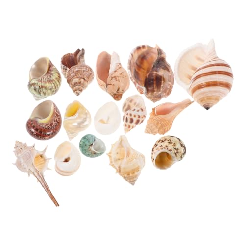 WOONEKY 15stücke Bunte Natürliche Muscheln Für Aquarium-Dekoration Strand-Mottoparty-Dekoration DIY-bastelarbeiten Vasenfüller Als Lebensraum Für Einsiedlerkrebse WOONEKY 15stücke Bunte Natürliche Muscheln Für Aquarium-Dekoration Strand-Mottoparty-Dekoration DIY-bastelarbeiten Vasenfüller Als Lebensraum Für Einsiedlerkrebse von WOONEKY
