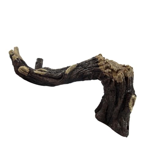 WOONEKY 1pc Gefälschte Rinde Shell Dekore Aquarium Landschaftsbau Schmuck Aquatischen Lebensraum Für Reptilien Elegante Robuste Für Süßwasser Tanks WOONEKY 1pc Gefälschte Rinde Shell Dekore Aquarium Landschaftsbau Schmuck Aquatischen Lebensraum Für Reptilien Elegante Robuste Für Süßwasser Tanks von WOONEKY