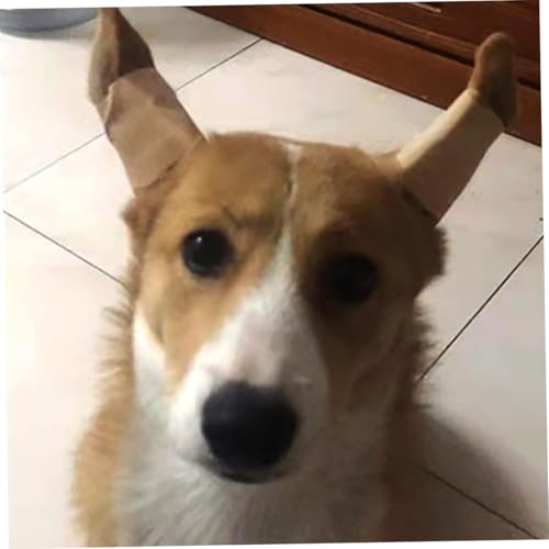 WOONEKY 2 Paare Hundehilfsmittel Ohr Sticker Hunde Ohrstehstützen Langlebig Fest für Kleine bis Mittlere Hunde Welpen Geeignet Pflegeleicht und Praktisch zur Ohrkorrektur Frei von von WOONEKY