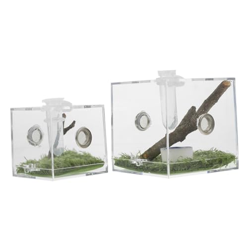 WOONEKY 2 Stück Sprungspinnen Terrarium Insekten Aufzuchtbox mit Belüftung für Springspinnen Kleine Reptilien Insekten und Kriechtiere Leicht Robust und Praktisch WOONEKY 2 Stück Sprungspinnen Terrarium Insekten Aufzuchtbox mit Belüftung für Springspinnen Kleine Reptilien Insekten und Kriechtiere Leicht Robust und Praktisch von WOONEKY