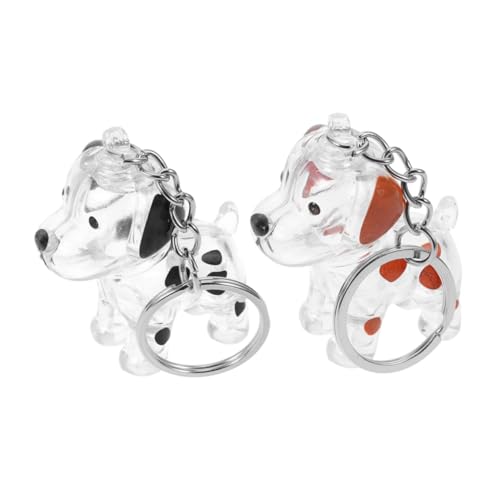WOONEKY 2 Stücke Transparenter Pet Hair Locket Schlüsselanhänger Hundehaar Aufbewahrung Erinnerungsstück und Souvenir Geschenk Kompakt und Leicht für Tägliche Nutzung und Reise von WOONEKY