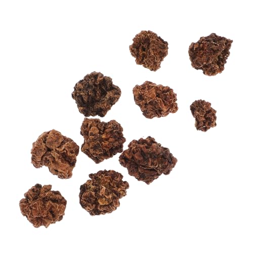 WOONEKY 20 STK Kauball Für Haustier Kauspielzeug Für Katzen Reinigungsspielzeug Katzenspielzeug Beißball Für Haustiere Spielzeug Reinigen Katzenminze Stick Pet-Ball-Spielzeug Katzenranke WOONEKY 20 STK Kauball Für Haustier Kauspielzeug Für Katzen Reinigungsspielzeug Katzenspielzeug Beißball Für Haustiere Spielzeug Reinigen Katzenminze Stick Pet-Ball-Spielzeug Katzenranke von WOONEKY