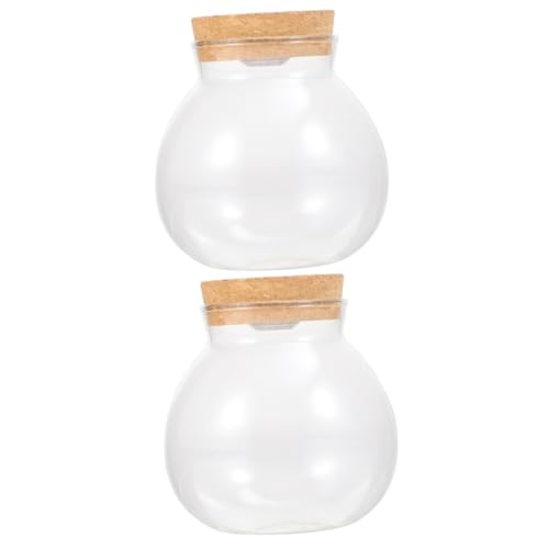WOONEKY 2St Landschaftsflasche led ligts led-Light raumdeko bastelzeug Wohnaccessoire Mikro Bonbonschale künstliches para Behälter transparente Fischflasche Mini-Aquariumflasche Holz Weiß von WOONEKY