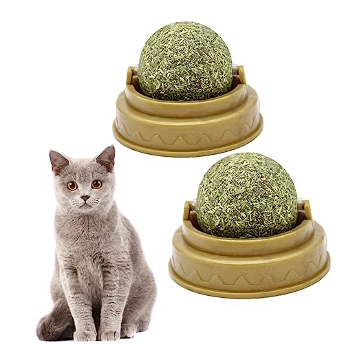 WOONEKY 2Stücke Katzenminze Ball Leckere Energiekugeln für Katzen Verdauung und Zahnpflege Essbare Süßigkeit mit Süßem Geschmack für Gesunde Pflege und Spielspaß WOONEKY 2Stücke Katzenminze Ball Leckere Energiekugeln für Katzen Verdauung und Zahnpflege Essbare Süßigkeit mit Süßem Geschmack für Gesunde Pflege und Spielspaß von WOONEKY