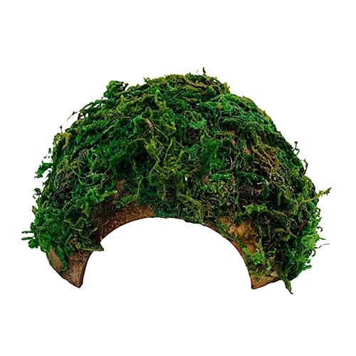 WOONEKY 2 Stücke Box Vielseitige Reptilien Box Ornament Grün Hamster Versteck Höhle Reptil Versteck Und Höhle Dekorative Shelter von WOONEKY