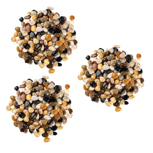WOONEKY 3 Packungen Aquariensteine Kleine Kieselsteine Für Pflanzen Dekorative Kieselsteine Für Pflanzgefäße Dekorative Steine Für Vasen Blumentopffüller Kleine Kieselsteine WOONEKY 3 Packungen Aquariensteine Kleine Kieselsteine Für Pflanzen Dekorative Kieselsteine Für Pflanzgefäße Dekorative Steine Für Vasen Blumentopffüller Kleine Kieselsteine von WOONEKY
