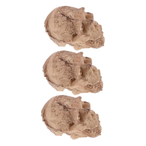 WOONEKY 3 Stück Teiliges Mini Totenkopf Resin Detaillierte Reptilien Terrarium Deko Sichere Skelett Figuren für Bartagamen Eidechsen Schlangen Beige für Terrarien und Aquarien WOONEKY 3 Stück Teiliges Mini Totenkopf Resin Detaillierte Reptilien Terrarium Deko Sichere Skelett Figuren für Bartagamen Eidechsen Schlangen Beige für Terrarien und Aquarien von WOONEKY