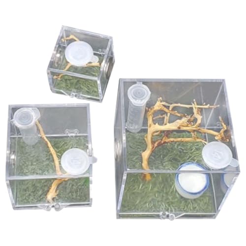 WOONEKY 3 Stück Teiliges Terrarium für Sprungspinnen Transparente Insektenbox mit Futteröffnung und Hygrometer Geeignet für Geckos Taranteln und Kleine Reptilien von WOONEKY