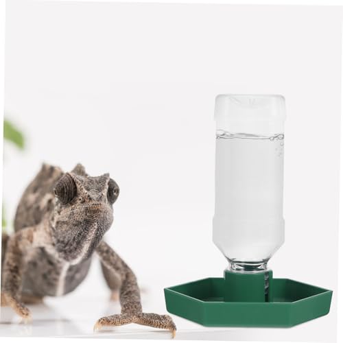 WOONEKY Automatischer Reptilien Wasserspender Grün Kleines Modell Stehende Wasserschale für Gecko Terrarien Praktischer Futter und Trinknapf für Schildkröten Eidechsen Kleine Reptilien von WOONEKY