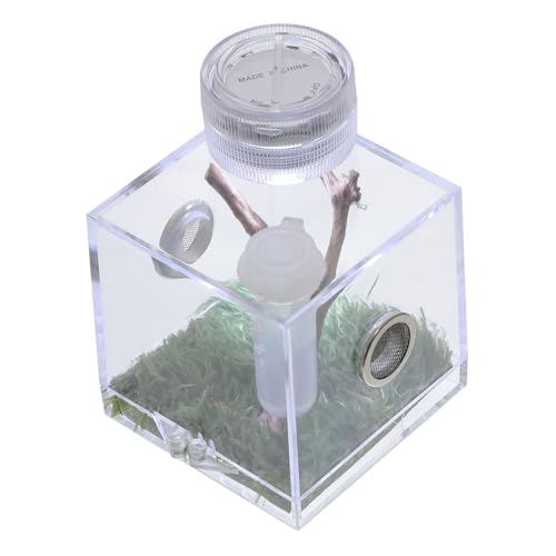 WOONEKY Box Springspinne Zuchtbox Spinnenbehälter Schneckenhabitatkäfig Spinnenhabitathalter Transparenter Reptilienkäfig Schneckengehege Vogelspinnengehege Spinnenträger Mini Acryl WOONEKY Box Springspinne Zuchtbox Spinnenbehälter Schneckenhabitatkäfig Spinnenhabitathalter Transparenter Reptilienkäfig Schneckengehege Vogelspinnengehege Spinnenträger Mini Acryl von WOONEKY