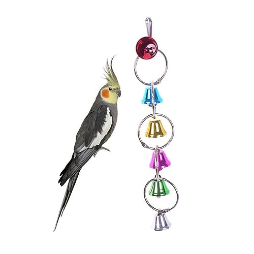 WOONEKY Bunte -vogelspielzeuge Für Käfigvögel Sie Spielverhalten Ihres Oder Wellensittichs Mit Widerstandsfähigen Farbenfrohen Kauspielzeugen Für Nymphensittiche Und Ähnliche Vögel von WOONEKY