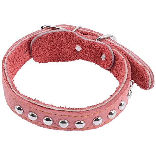 WOONEKY Hautfreundliches Haustierhalsband Hundehalsband Für Welpen Modisches Katzenhalsband Kätzchenhalsbänder 8 Wochen Alt WOONEKY Hautfreundliches Haustierhalsband Hundehalsband Für Welpen Modisches Katzenhalsband Kätzchenhalsbänder 8 Wochen Alt von WOONEKY