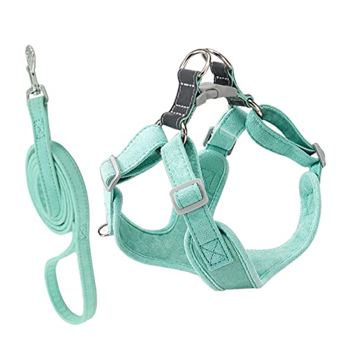 WOONEKY Einstellbares Haustiergeschirr mit Verstellbarer Leine Ergonomisches Design Sicherer für Kleine und Mittelgroße Hunde Komfortable Kontrolle bei Spaziergängen Teiliges Set Xs von WOONEKY
