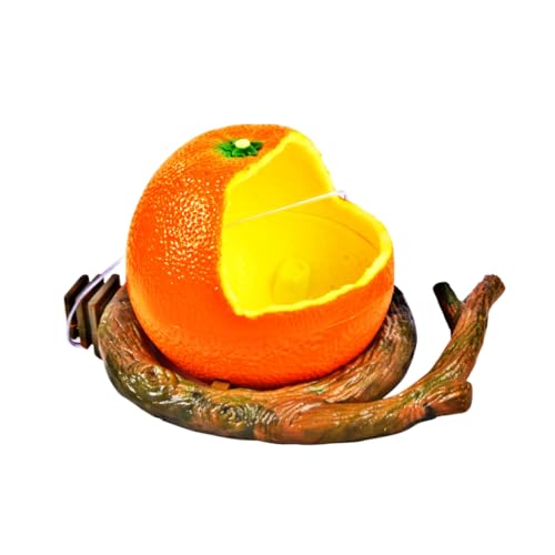 WOONEKY Früchte Vögel Futternapf Haustier Vogel Futternapf Papageien Futterbehälter Simulation Obst Futternapf Vögel Früchte Futternapf Vogelkäfig Futterspender Vögel WOONEKY Früchte Vögel Futternapf Haustier Vogel Futternapf Papageien Futterbehälter Simulation Obst Futternapf Vögel Früchte Futternapf Vogelkäfig Futterspender Vögel von WOONEKY