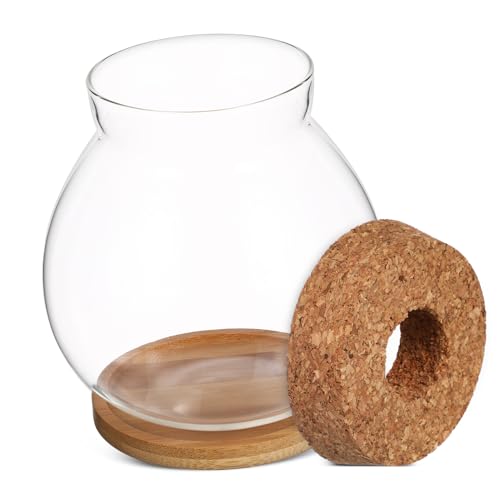 WOONEKY Desktop Hydroponisches Terrarium Mit Glasfischbehälter Und Bambusmatte Aquarium Für Büro- Für Betta-Fische Und Wasserpflanzen WOONEKY Desktop Hydroponisches Terrarium Mit Glasfischbehälter Und Bambusmatte Aquarium Für Büro- Für Betta-Fische Und Wasserpflanzen von WOONEKY