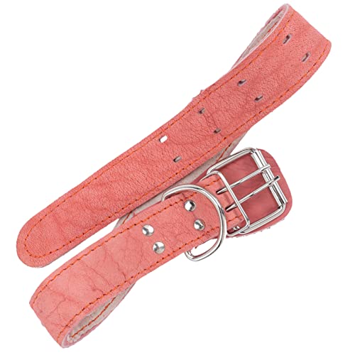 WOONEKY Hundehalsband aus Weichem Verstellbar Komfortabel und Hautfreundlich für Kleine und Große Dekoratives Halsband für Täglichen Gebrauch von WOONEKY