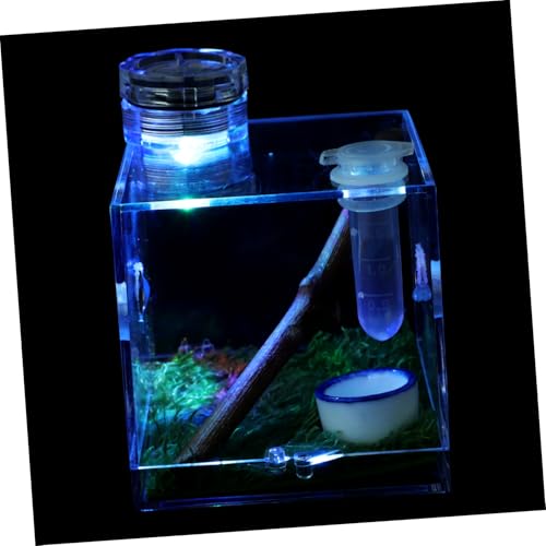 WOONEKY 2stücke Kleine Sprungspinne Habitat Box Mit Lampe Und Feuchteregelung Transparente Zuchtbox Für Jumping Spiders Für Und Terrarien-enthusiasten WOONEKY 2stücke Kleine Sprungspinne Habitat Box Mit Lampe Und Feuchteregelung Transparente Zuchtbox Für Jumping Spiders Für Und Terrarien-enthusiasten von WOONEKY