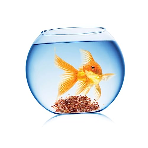 WOONEKY Kies Künstliche Landschaftsfelsen Aquariensteine für Aquariumschildkröten Steine für Pflanzen Dekorationen für Aquarien Felsen für Dekorative Flusssteine Aquarium Dekoration WOONEKY Kies Künstliche Landschaftsfelsen Aquariensteine für Aquariumschildkröten Steine für Pflanzen Dekorationen für Aquarien Felsen für Dekorative Flusssteine Aquarium Dekoration von WOONEKY