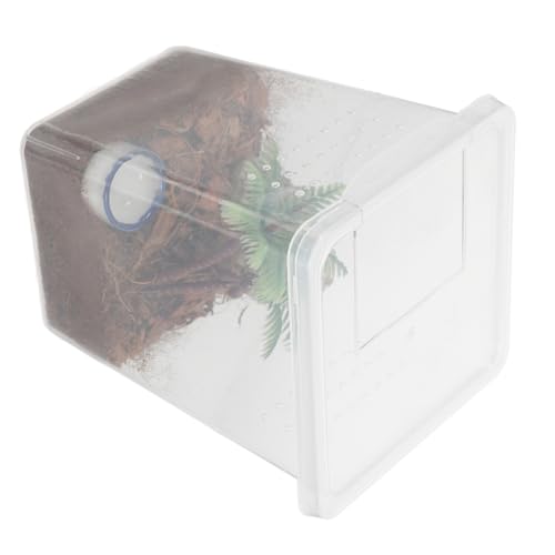 WOONEKY Kleine Transparente Zuchtbox für Spinnen und Insekten Plastik Haustier Box mit Einfacher Kompakt für Innenräume für Springspinnen und Kleine Reptilienhaltung WOONEKY Kleine Transparente Zuchtbox für Spinnen und Insekten Plastik Haustier Box mit Einfacher Kompakt für Innenräume für Springspinnen und Kleine Reptilienhaltung von WOONEKY