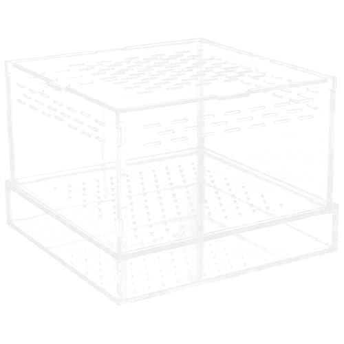 WOONEKY Kleiner Terrarium für Reptilien und Insekten Atmungsaktive Zuchtbox für Spinnen Geckos Mehlwürmer Transparente Futterstation für Haustiere mit Beobachtungsfenster WOONEKY Kleiner Terrarium für Reptilien und Insekten Atmungsaktive Zuchtbox für Spinnen Geckos Mehlwürmer Transparente Futterstation für Haustiere mit Beobachtungsfenster von WOONEKY