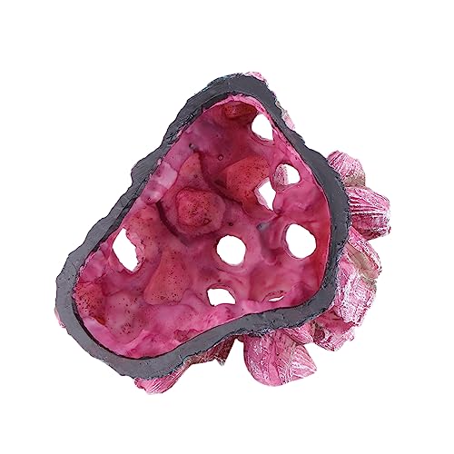 WOONEKY Künstliches Korallenriff aus Resin für Aquarium Lebensechte Fischbecken Dekoration Farbintensives Sicheres Korallenornament für Süß und Pflegeleicht und Naturgetreu Gestaltet von WOONEKY