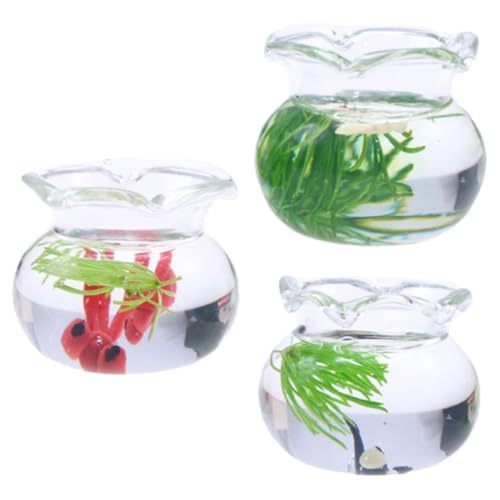 WOONEKY Miniatur-Aquarium Aus Glas Mini-Aquarium Aus Kunstharz Für Pflanzen Dekoration WOONEKY Miniatur-Aquarium Aus Glas Mini-Aquarium Aus Kunstharz Für Pflanzen Dekoration von WOONEKY