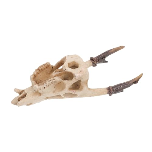 WOONEKY Ornamente Für Die Von Haustieren Dekoration Für Reptilien Versteck Für Schildkrötenbecken Reptilien Simulation Versteck Für Schlangenhabitate Totenkopf WOONEKY Ornamente Für Die Von Haustieren Dekoration Für Reptilien Versteck Für Schildkrötenbecken Reptilien Simulation Versteck Für Schlangenhabitate Totenkopf von WOONEKY