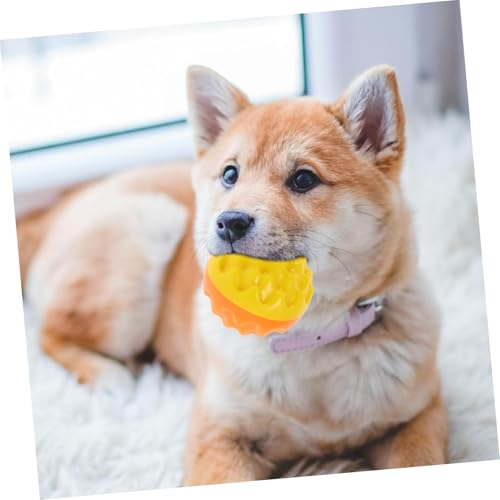 WOONEKY Quietschender Kauspielzeug Ball für Kleine Hunde Interaktiver Zahnpflege Ball zur Zahnreinigung und Spielspaß Leuchtend Orange für Welpen und Natürliche Kaubedürfnisse WOONEKY Quietschender Kauspielzeug Ball für Kleine Hunde Interaktiver Zahnpflege Ball zur Zahnreinigung und Spielspaß Leuchtend Orange für Welpen und Natürliche Kaubedürfnisse von WOONEKY