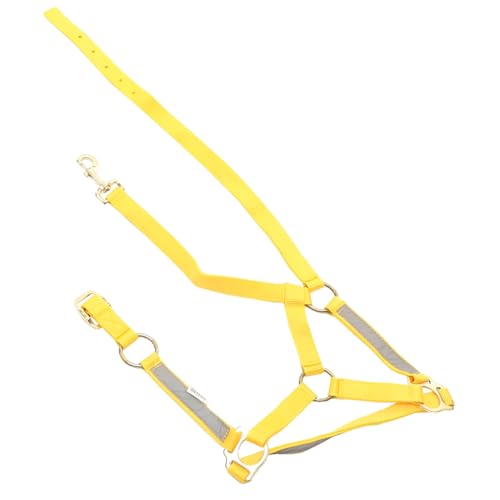 WOONEKY Pferdehalfter Reflektierendes Pferdeseil Trense Kopfstück Halfter Für Pferde Reitausrüstung Zubehör Pferdeschützer Reiten Reitschutzring Aussetzen Kummet Pp-gurtband Yellow WOONEKY Pferdehalfter Reflektierendes Pferdeseil Trense Kopfstück Halfter Für Pferde Reitausrüstung Zubehör Pferdeschützer Reiten Reitschutzring Aussetzen Kummet Pp-gurtband Yellow von WOONEKY